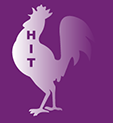 H.I.T. Isolatie